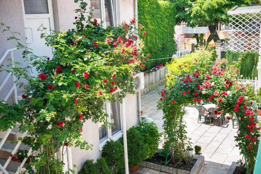 Hotel Relax Varna Exterior foto